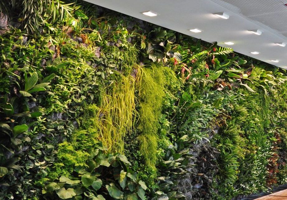Jardines verticales: el ecosistema que decora tu casa.