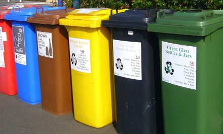 Reciclaje: ¿En qué contenedor va cada residuo?